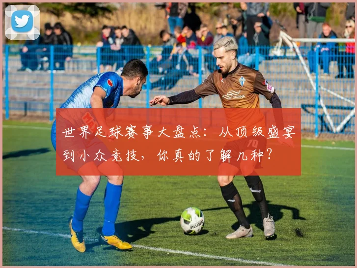 世界足球赛事大盘点：从顶级盛宴到小众竞技，你真的了解几种？